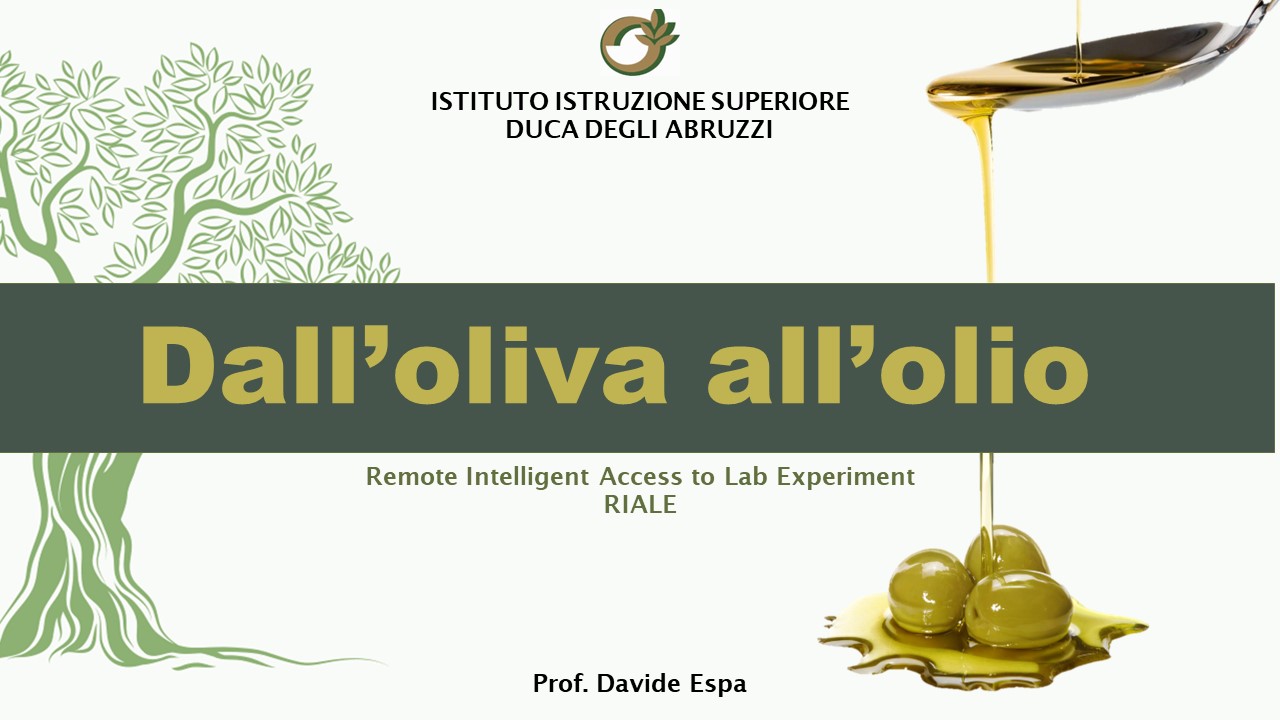 Dall'Oliva all'olio