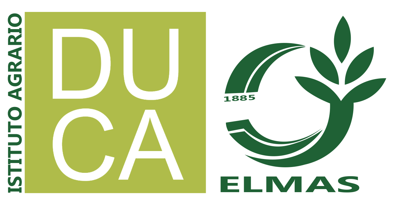 IIS Duca Degli Abruzzi